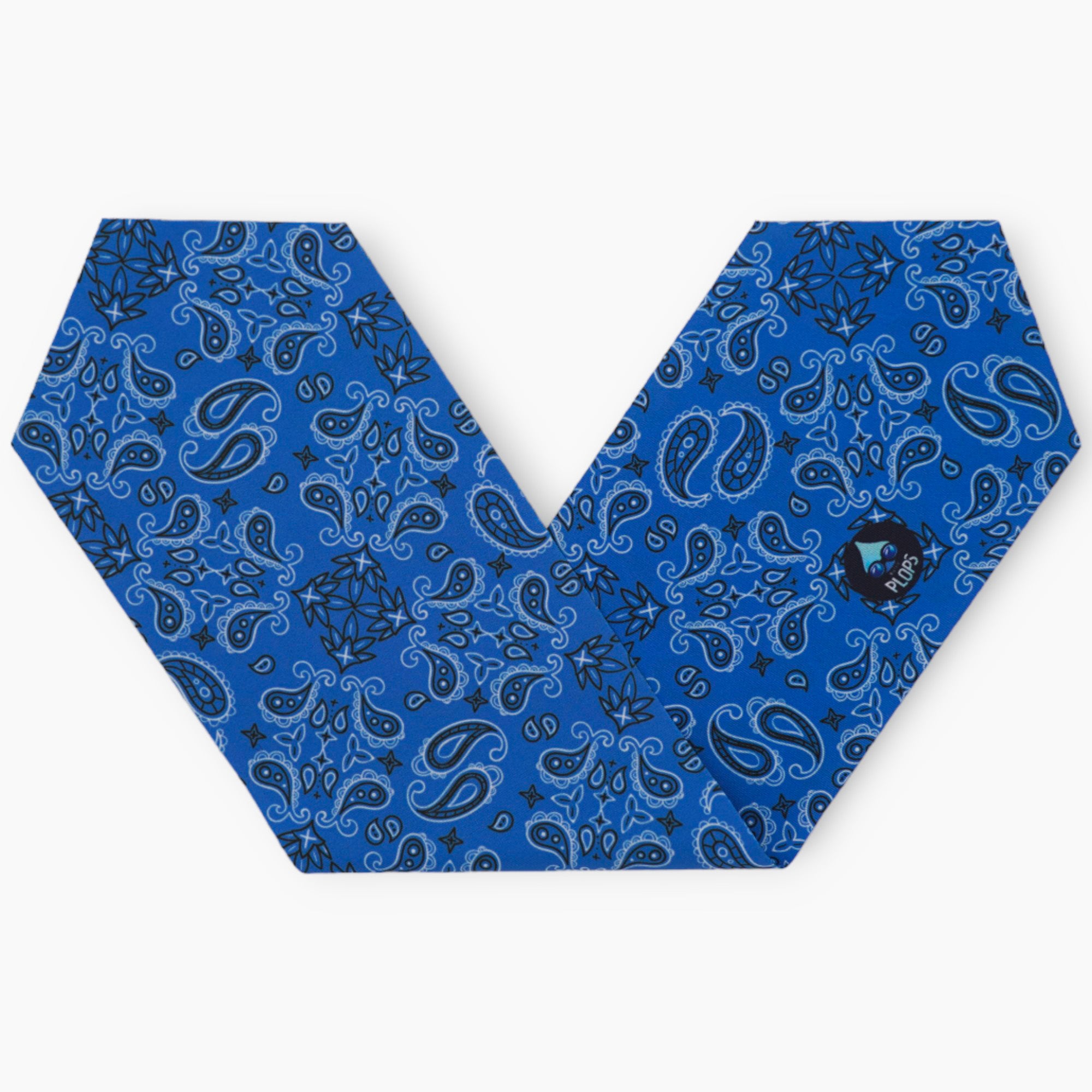 Blue Bandana